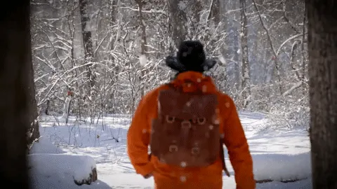 Backpack